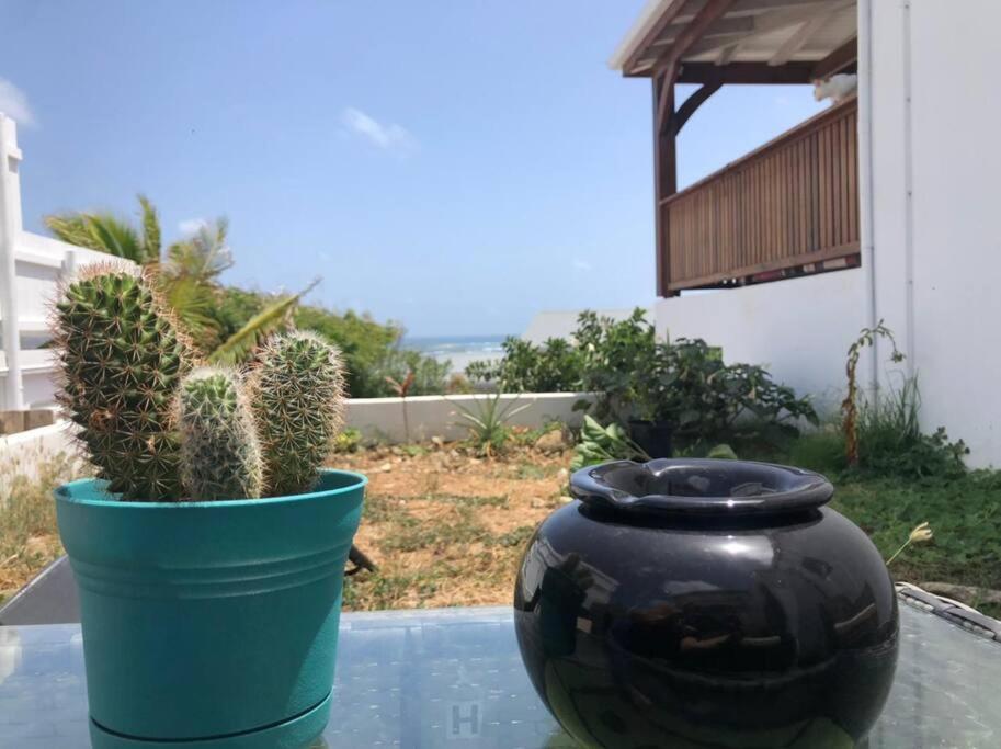 Quarter of Orleans Vacances Entre Mer Et Colline מראה חיצוני תמונה